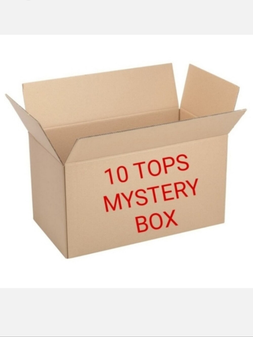 10 Piece Mystery Box Bundle. All Size Medium Top, Shirt, Blouse, Sweater